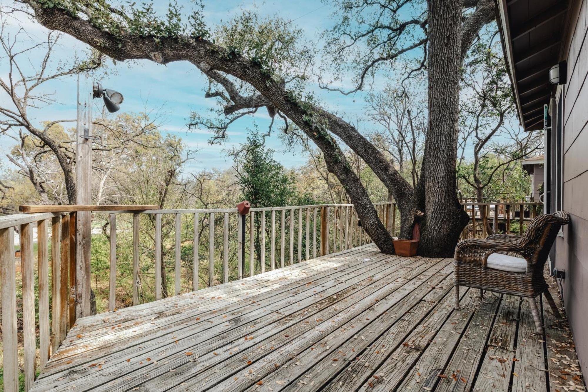Group Retreat At Charming Twin Treehouses Near Ut Campus 奧斯汀 外观 照片