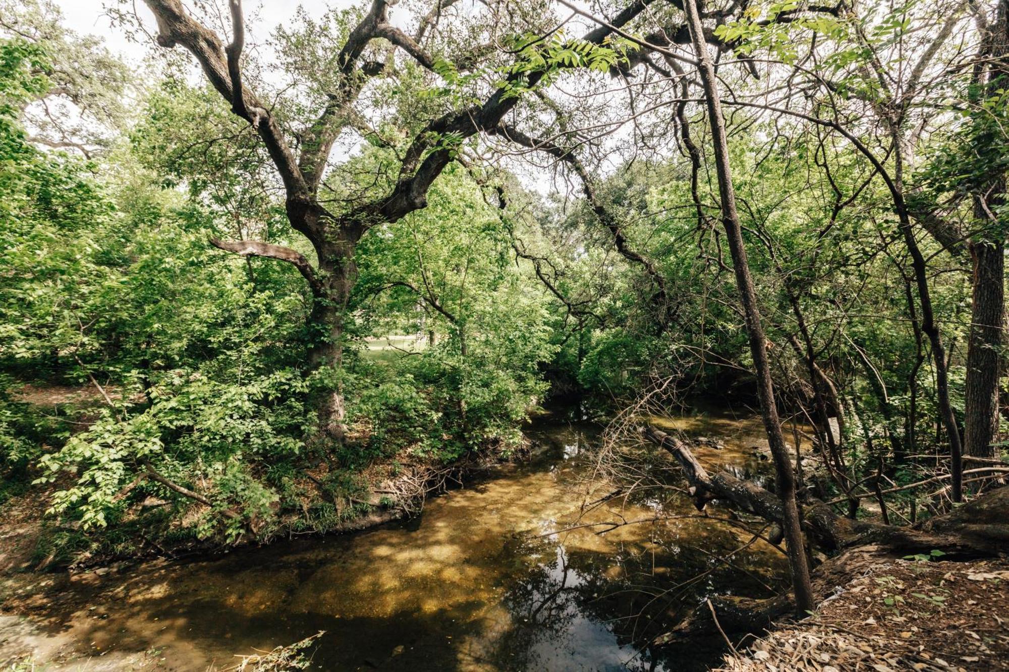Group Retreat At Charming Twin Treehouses Near Ut Campus 奧斯汀 外观 照片